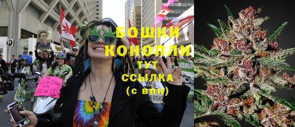 метадон Богородицк