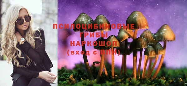 метадон Богородицк
