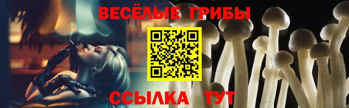 Псилоцибиновые грибы Cubensis Сланцы